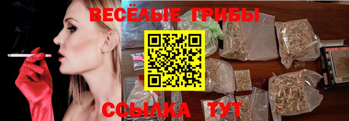 Псилоцибиновые грибы MAGIC MUSHROOMS  Вход с VPN  Зеленокумск  Псилоцибиновые грибы мицелий 